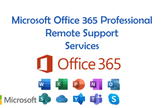 provide office 365 administration or consultation services remotely