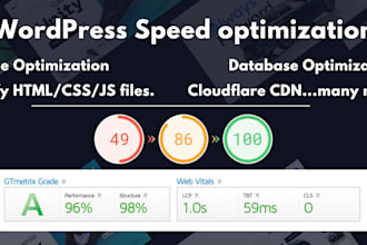 do wordpress website speed optimization for google page insights and gtmetrix