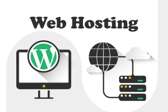 host and maintain your website on our server