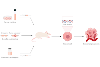 design graphical abstracts, medical and scientific illustrations and figures