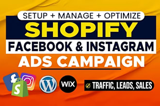 setup and manage shopify facebook ads instagram ads campaign