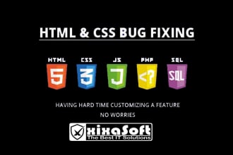 edit html, css, js and modify or fix bugs in website