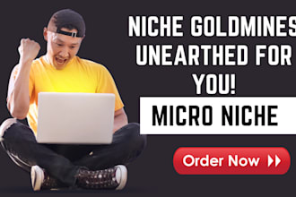 do profitable micro niche research and keyword research