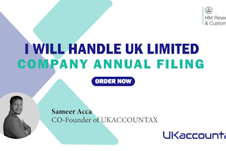 handle UK limited company annual filing