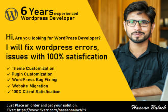 fix wordpress bug quickly, wordpress issue, wordpress error
