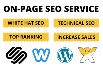provide onpage SEO services for wordpress, wix, squarespace and weebly website
