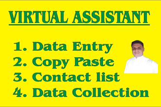 provide data entry, copy paste, web scraping and research