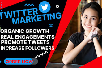 do super fast organic twitter promotion