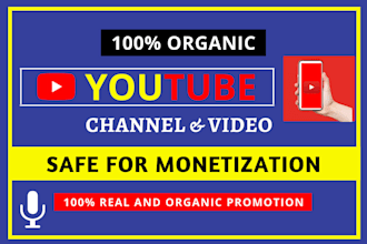 do organic youtube channel and video promotion,vimeo promotion