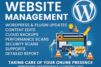 provide maintenance and support for your wordpress website