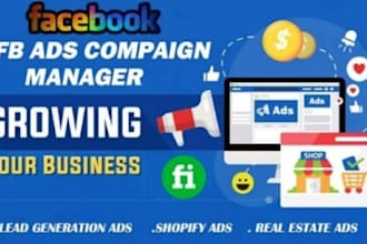 do facebook advertising, fb marketing, run fb ads campaign as a fb ads manager