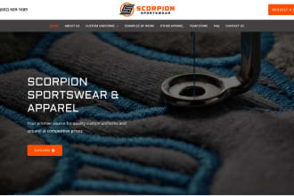 design e commerce wordpress website