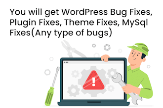 fix your wordpress website issue