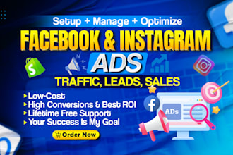 set up facebook ads and instagram ads for sales and leads