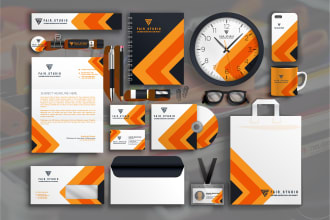 provide professional branding stationary all design for your business