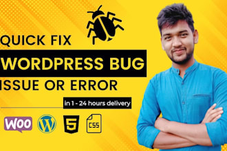 fix wordpress issue, errors, problem, and wordpress bug