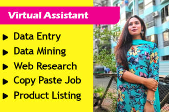 be your virtual assistant for data entry, data minig, copy paste or web research