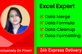 be your excel expert, excel formula, data merge, data cleaning and formatting