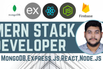 be nextjs front end developer or mern stack web development
