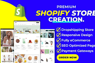 create a profitable shopify website, dropshipping store, one product store