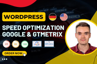 do wordpress  speed optimization for google pagespeed insights