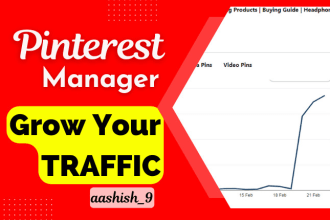 be your pinterest marketing manager create SEO optimized pins