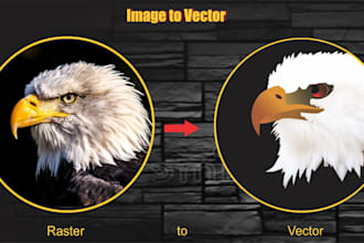 change image to vector, convert logo to vector redraw