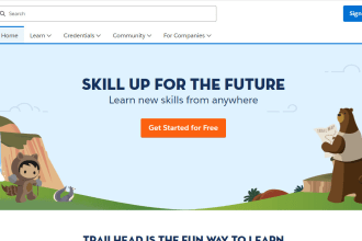 your salesforce admin, do all kind of trailhead badges