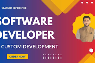 be your software developer expertise in mvp and advanced systems