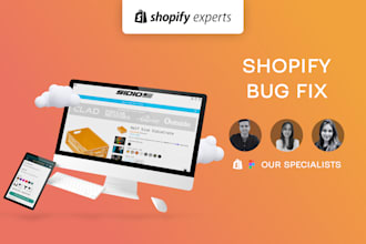 perform a shopify bug fix or logic adjustment