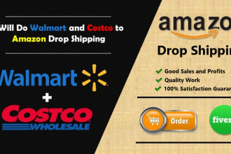 automated your amazon dropshipping store as VA