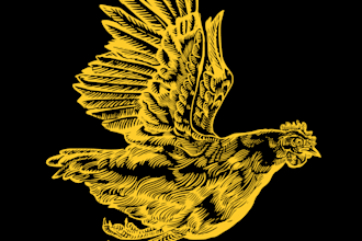 draw a beautiful illustration for your logo or label