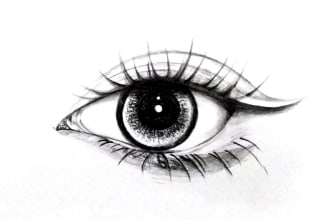draw realistic line art, pencil art, digital art