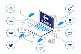 build and integrate apis using mulesoft anypoint platform