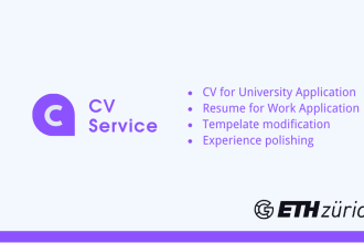 deliver a professional CV writing service for application