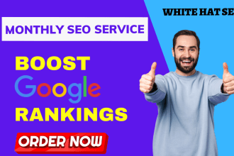do complete monthly SEO service for google rankings