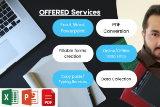 do data entry in ms excel, word, powerpoint and PDF conversion
