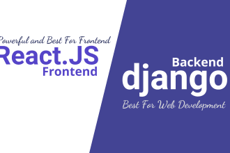 develop professional looking django and react websites