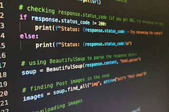 tutor or teach and help you learn python
