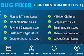 fix wordpress issues, wordpress bugs, wordpress errors