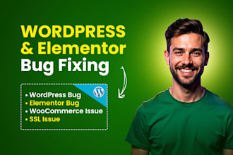 fix your wordpress bug and elementor bug  superfast