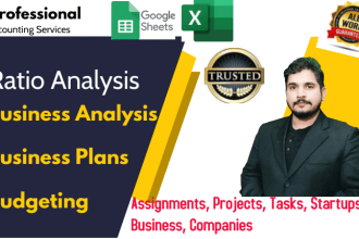 do ratio analysis, financial analysis, and budgeting for you