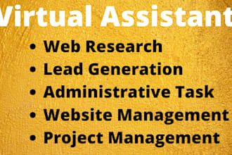 be your efficient virtual assistant