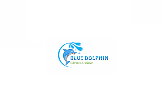 design a new chain of express car washes logo