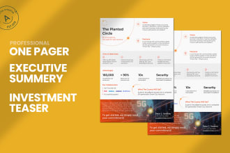 design one pager, executive summary or investment teaser