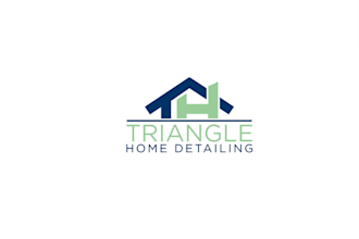 design an amazing first logo for triangle home detailing