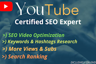 do youtube video optimization and seo