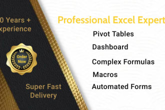 develop excel spreadsheet, macros, complex formulas and pivot tables