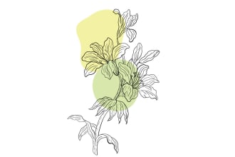 create hand drawn, botanical, floral and retro illustration