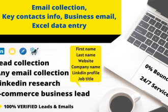 do email collection,key contacts info,business email,VA,excel data entry